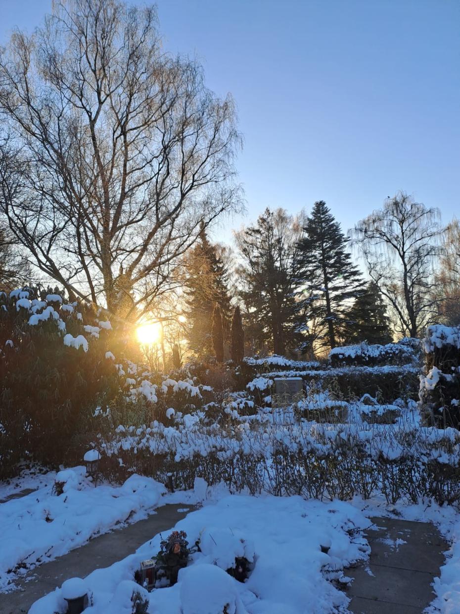 Winterstimmung auf dem Friedhof