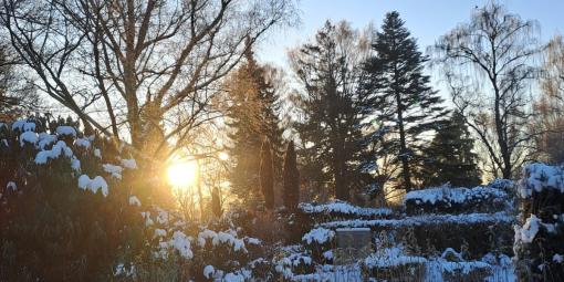 Winterstimmung auf dem Friedhof