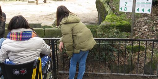 Wunschfahrt zum Tierpark Hagenbeck Wunschfahrt zum Tierpark Hagenbeck